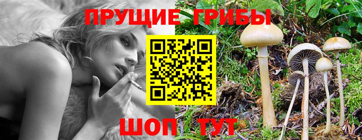 Галлюциногенные грибы Cubensis  Псилоцибиновые грибы мухоморы  Светлоград  Вход с VPN 